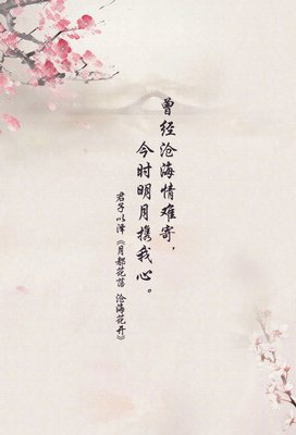 最经典的付武军精彩语录