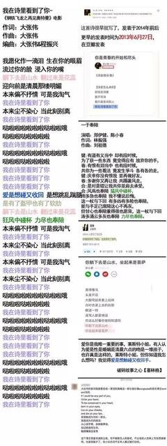 宋小君的名句