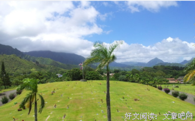 有关千坟子名言
