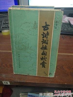 最全的《单独中的洞见2，作家出版社》名句欣赏