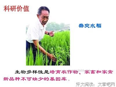 最全的《发那物种官赐福》小说书摘