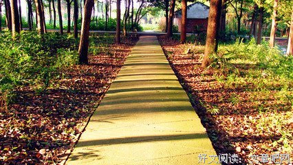 最经典的《火格走好》好段摘抄
