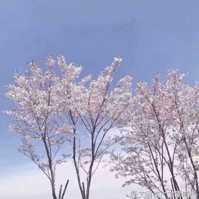 最经典的《白城的国主种人过情书》经典名句