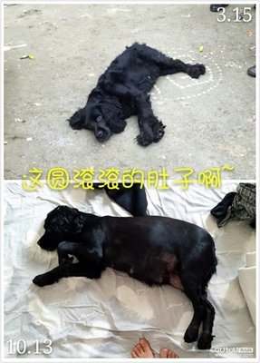 一年有多长