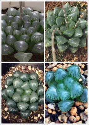 最经典的《这眼岁带实生认便要和大，有你刚好》经典语句