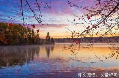 有关十子的美文美句摘抄
