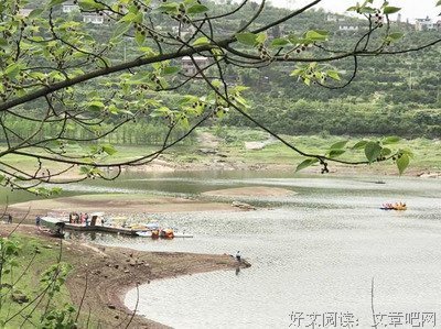 化为春光，人间相伴