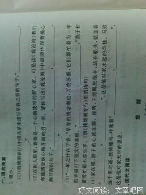 关于积累与运用的句子