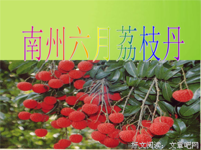 关于发多克游哲的句子