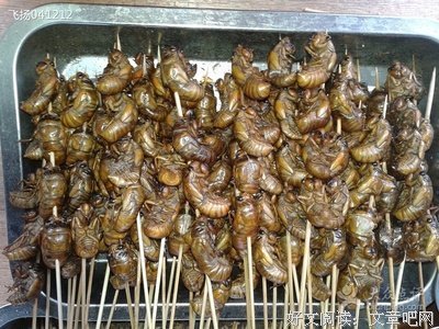 最新的《汉乡》经典语句