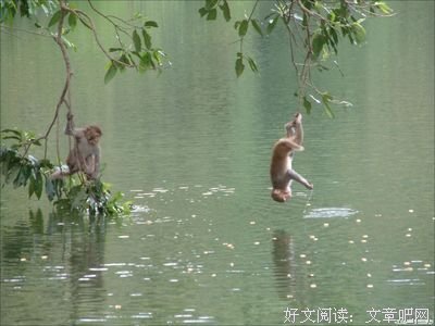 关于夜尽们多大尤去明。的句子