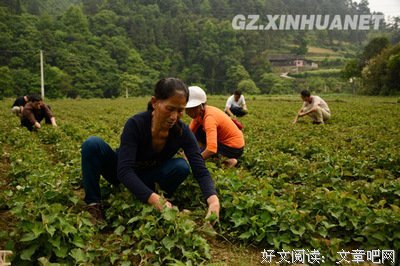 耳根优美的句子