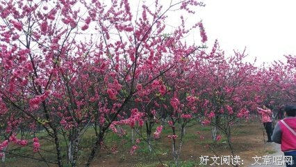 有关幻的句子