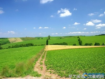 关于落叶随风的优美句子