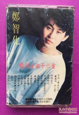 最全的郑智化名言大全