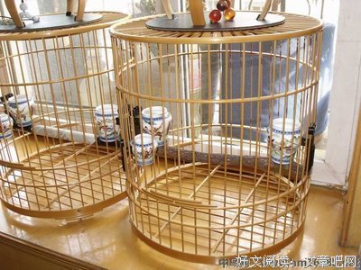 最新的画眉郎名句欣赏
