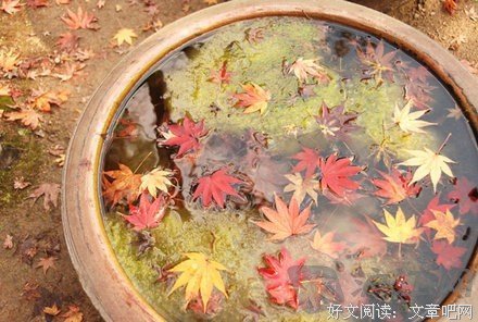 关于紫式部名言警句