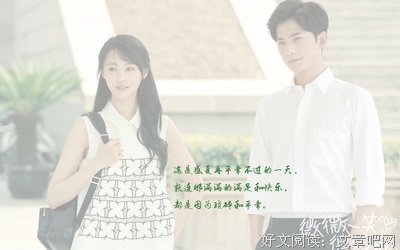 最新的《郑爽的书》经典的句子