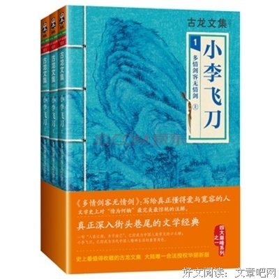 最全的《多情剑客心大走家情剑》经典名句