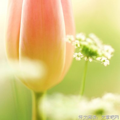 《我害怕》经典的句子