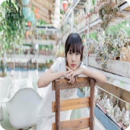 最新的《致我们暖暖的小时光》经典的句子大全