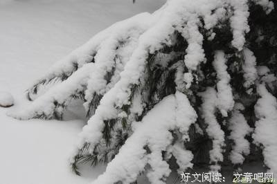 关于小舍的格言