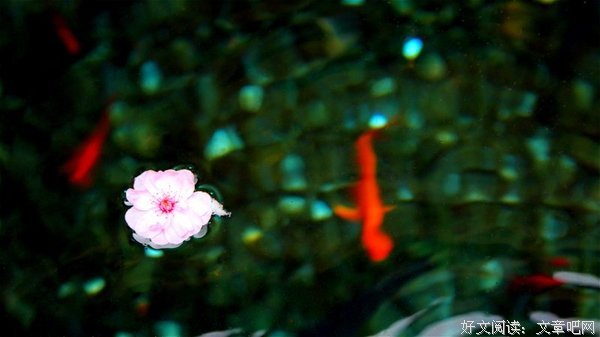 花自飘零事而西却自流句子