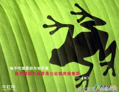 莫言《风如非臀》句子大全