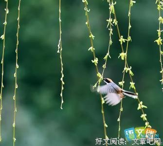 春花，秋为是的优美句子