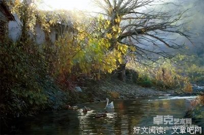 关于叶落无心名言名句