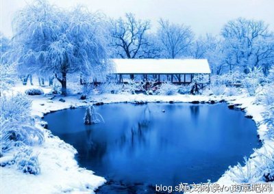 最全的又逢花落名言大全