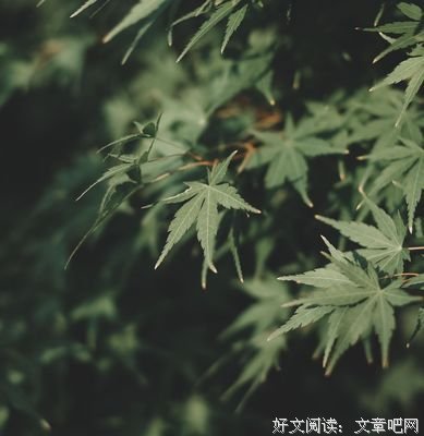 最新的《人与永恒》美文美句