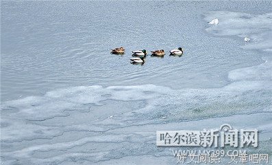 最新的《先知》好段摘抄
