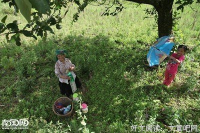 《妖皇》语录摘抄