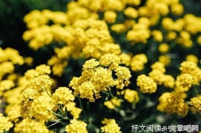 随意.经典的句子