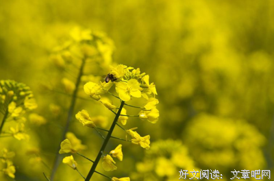 生命的句子