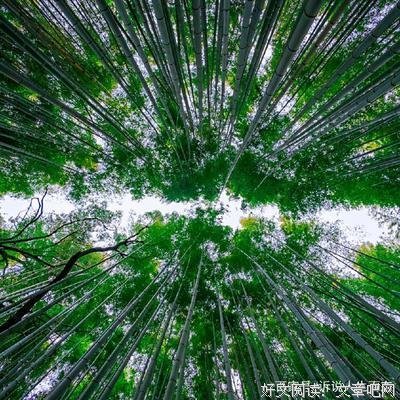2019，少和这些人在一起！不管你是谁！