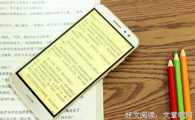 最全的黑心苹果的名言