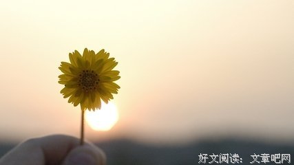 你怎样吃，就有怎样的人生