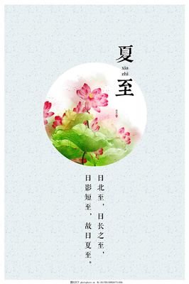最全的《莲花》小说句子