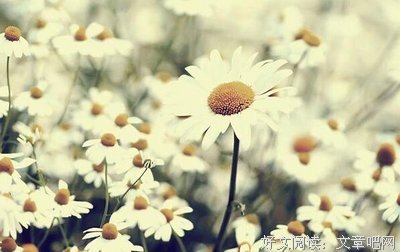 最经典的《一个人》经典名句