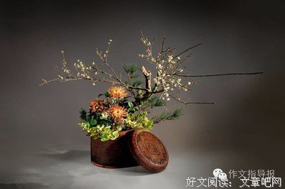 最新的《不再见》经典的句子