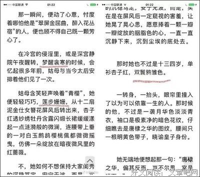 最经典的《如懿传》小说书摘