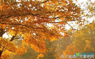 描写高大的经典句子