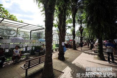 他们开始被相亲。