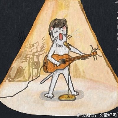 关于家猫的名言