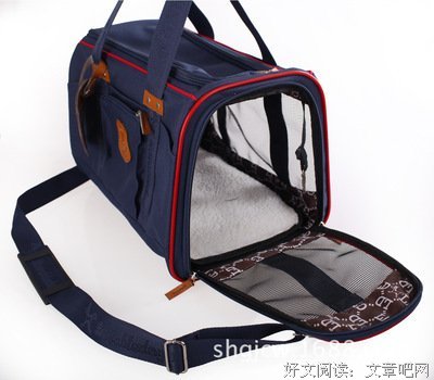 关于道格的语句