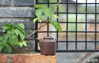 眼前的幸福，才最珍贵