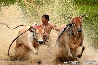 关于张智的格言