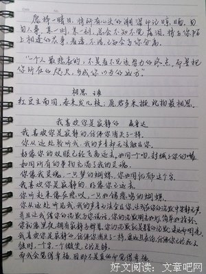 情有独钟的语句摘抄_关于情有独钟的语句